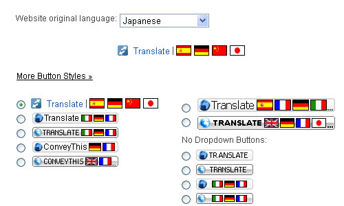 ホームページを多言語化
